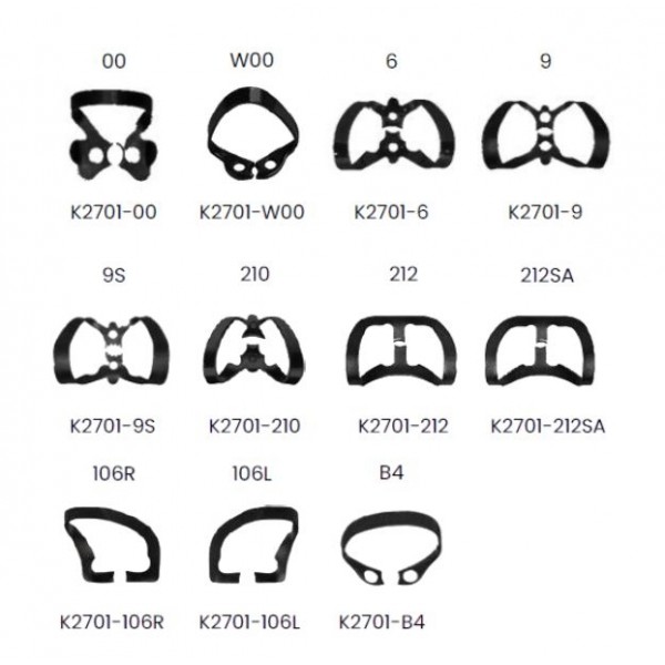 Clema diga neagra, Black coated, Anterior